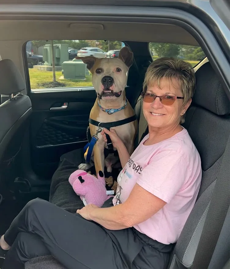 Orange Julius, a dog going to a foster home