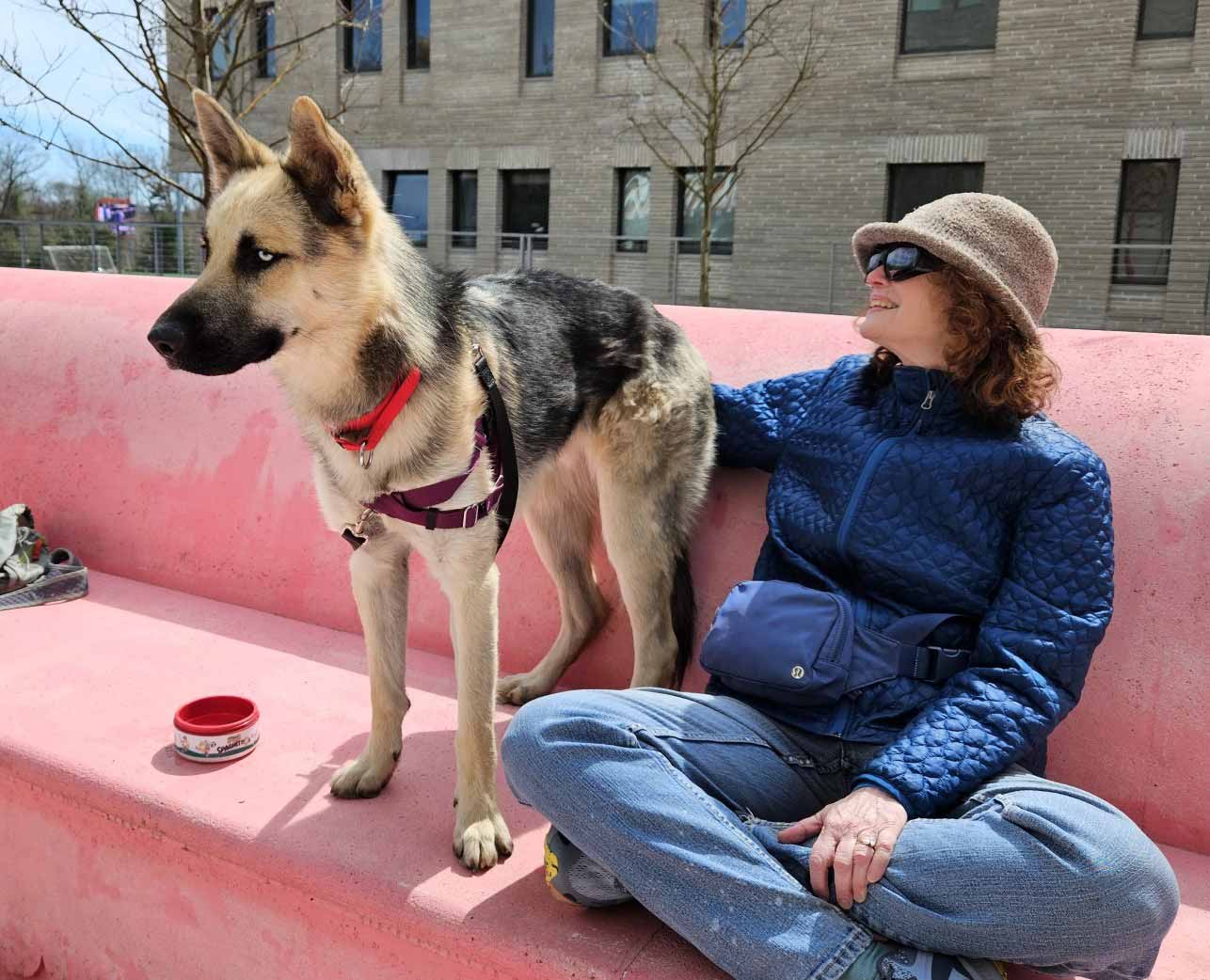 Person with German Shepherd dog outdoors