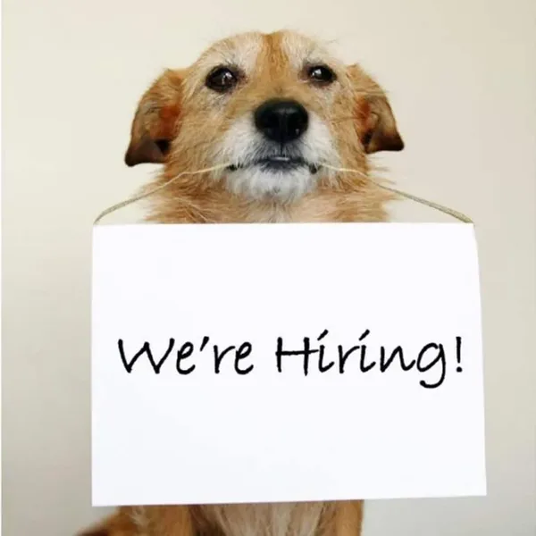 We are Hiring