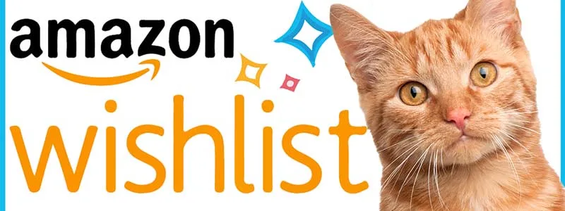 Shop our Amazon Kitten Season Wish List