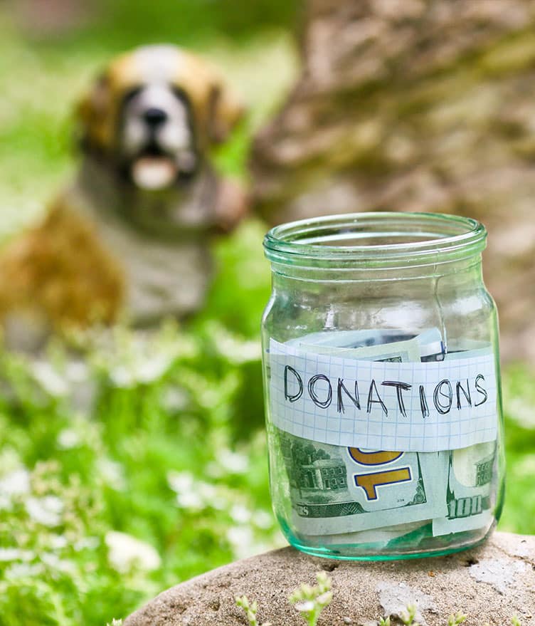 Community fundraiser donation jar