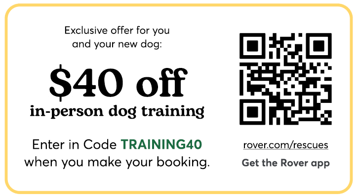 Rover $40 off in-person dog training QR code